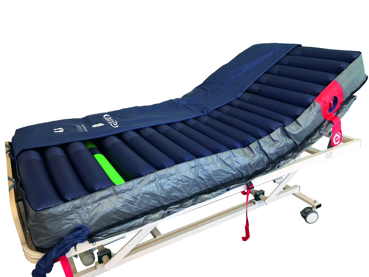 Dual Plus With Green Cell